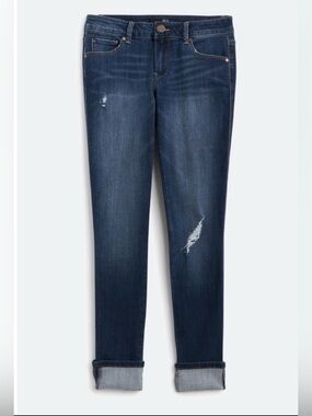 1822 Denim Berlin Low Rise Vintage Skinny Jean
